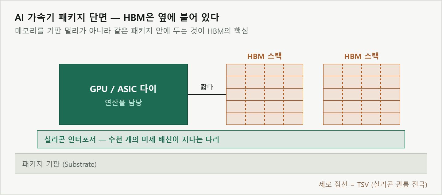 인터포저 위에 GPU 다이와 HBM 스택 두 개가 나란히 놓이고, HBM 스택은 TSV로 수직 관통 연결된 패키지 단면 도해
